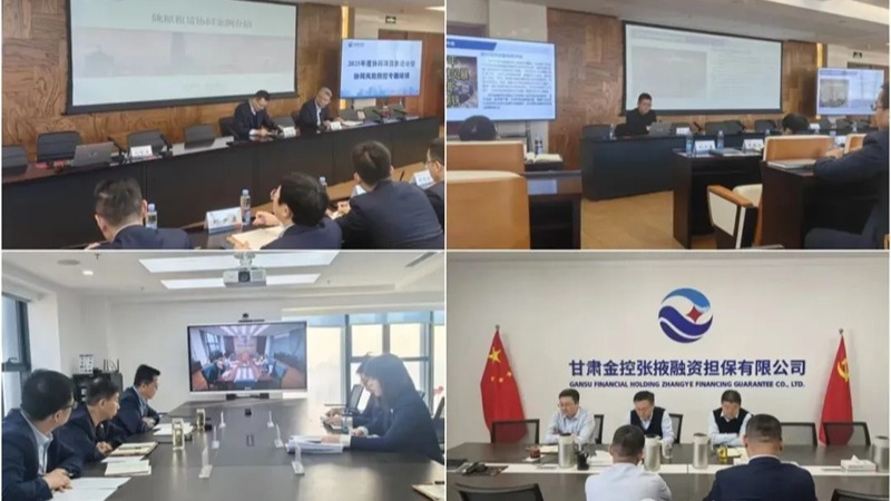  甘肃w66利来集团举办2025年度协同项目推进会暨协同风险防控专题培训